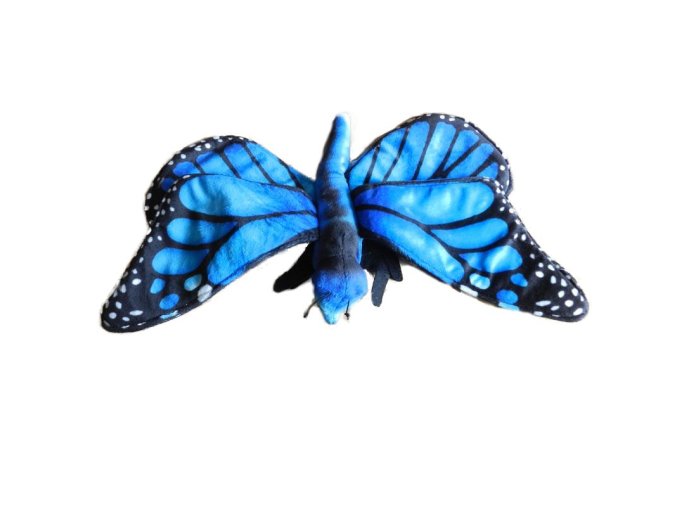 0008614 motyl modry B602344.jpg