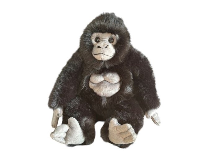 0013560 gorila DU31082.jpg