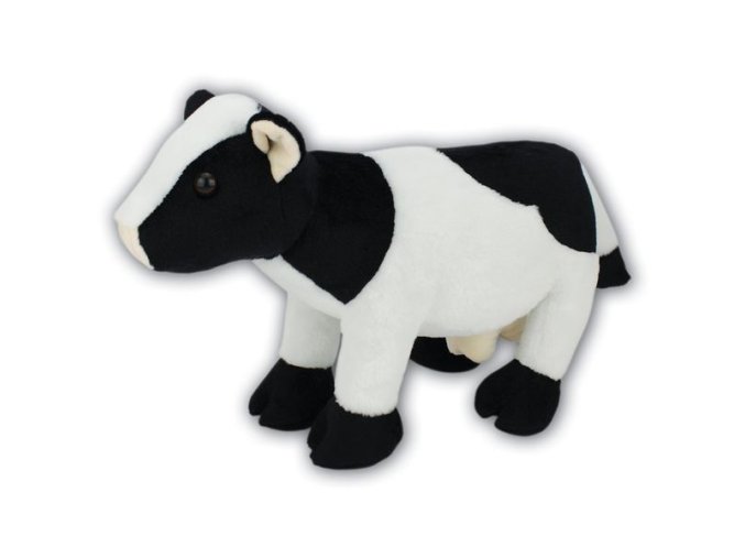 0023149 kráva ARMS119.jpg