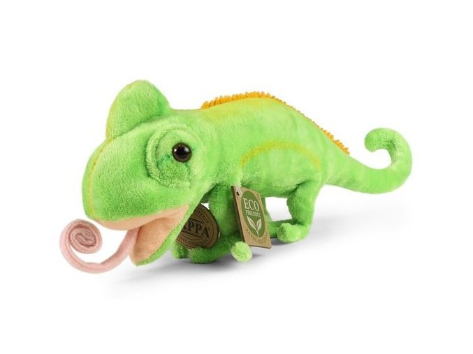 0020042 chameleon R242869.jpg