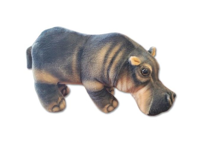 0024018 hroch B602764.jpg