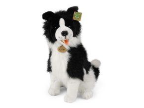 Plüss border collie kutya 40 cm