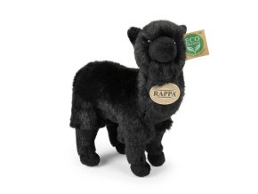 0024341 lama R244214.jpg