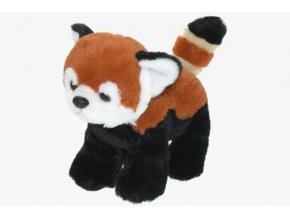 AA65DD65 E489 4B81 9A5E A82086EB9143 panda plys c1044047 z1