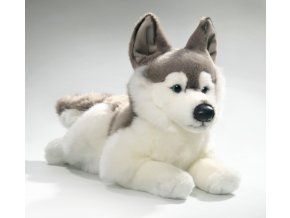 6143 pluss kutya husky 42 cm