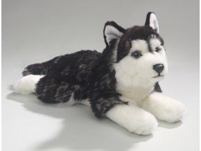 7139 pluss kutya husky 35 cm