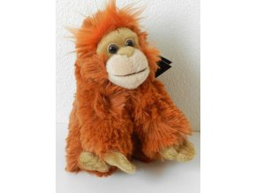 0F0FC406 4047 4FF5 8368 D24AD128695C ark111c orangutan