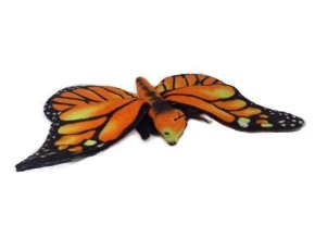 0E873122 D20F 4C59 8EEB D12131499BB1 motyl oranzovy b601989