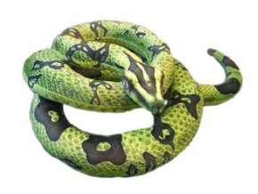 7A753C38 E0B3 460E 9E25 EB88E56C7356 had zeleny b602160