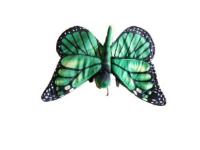 0008383 motyl zeleny B602283.jpg