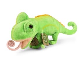 0020042 chameleon R242869.jpg