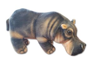 0024018 hroch B602764.jpg