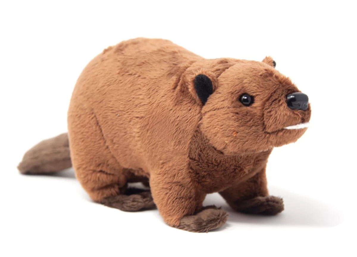 Cornelisen Plüss hód 23 cm - plüss játékok