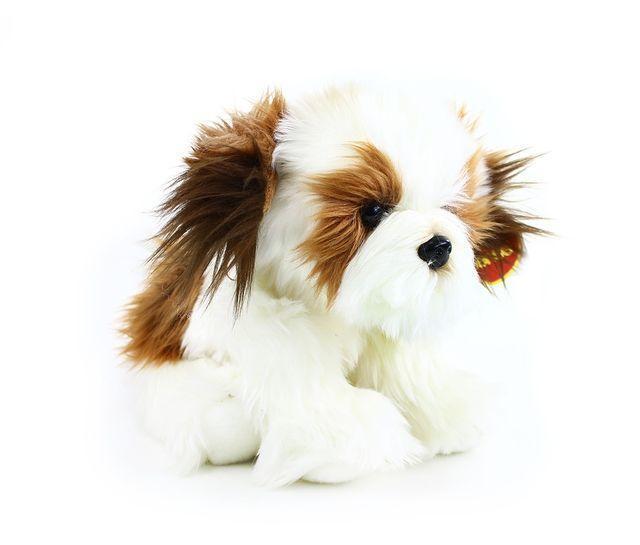 Rappa Plüss kutya Shih-tzu 28 cm - plüss játékok