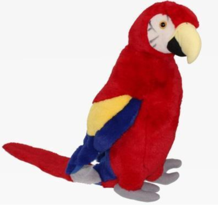 Cornelisen Plüss papagáj 40 cm - plüss játékok
