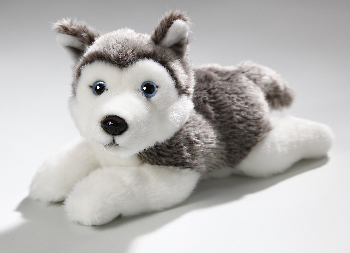 Lamps Plüss kutya - husky 23 cm