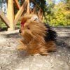 Plüss Yorkshire terrier ülő kutya 23 cm