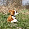 Plüss boxer kutya nyakörvvel 27 cm