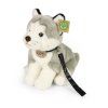 Plüss husky kutya pórázzal 28 cm