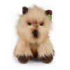 Plüss kutya Cairn Terrier 30 cm
