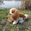 Plüss kutya King Charles spániel 28 cm