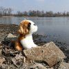 Plüss kutya bernáthegyi 20 cm