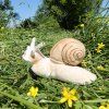 Plüss csiga/csiga 23 cm