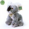 1386 2 pluss koala 25 cm pluss jatekok