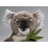 Plüss koala 30 cm - plüss játékok