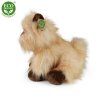 2880 1 pluss kutya 30 cm pluss jatekok