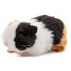 3321 1 pluss tengerimalac 20 cm pluss jatekok