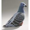3678 1 pluss galamb 20 cm pluss jatekok