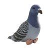 3678 3 pluss galamb 20 cm pluss jatekok