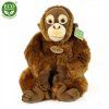 4536 pluss orangutan 27 cm pluss jatekok