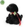 4746 3 pluss kutya labrador 30 cm