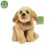 4770 2 pluss kutya 20 cm