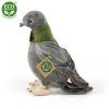 5429 3 pluss galamb 25 cm pluss jatekok