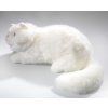 5549 2 pluss cica 30 cm pluss jatekok