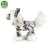 5600 1 pluss kutya 25 cm
