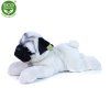 5906 2 pluss kutya mopsz 58 cm pluss jatekok