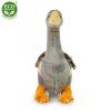 5909 2 pluss liba 30 cm pluss jatekok