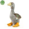 5909 3 pluss liba 30 cm pluss jatekok