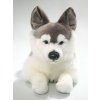 6143 1 pluss kutya husky 42 cm