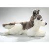 6143 2 pluss kutya husky 42 cm