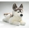 Plüss kutya - husky 42 cm