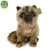 6746 2 pluss cica 28 cm pluss jatekok