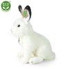 7115 5 pluss nyuszi 30 cm pluss jatekok