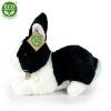 7118 4 pluss nyuszi 25 cm pluss jatekok