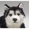 7139 1 pluss kutya husky 35 cm
