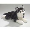 7139 pluss kutya husky 35 cm